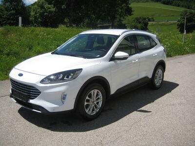 Ford Kuga Gebrauchtwagen