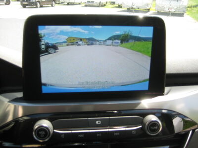 Ford Kuga Gebrauchtwagen