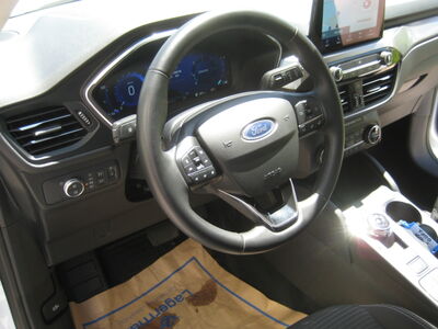 Ford Kuga Gebrauchtwagen