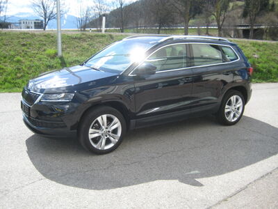 Skoda Karoq Gebrauchtwagen