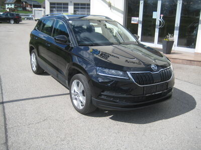 Skoda Karoq Gebrauchtwagen