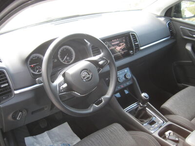 Skoda Karoq Gebrauchtwagen
