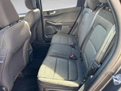 Ford Kuga Vorführwagen