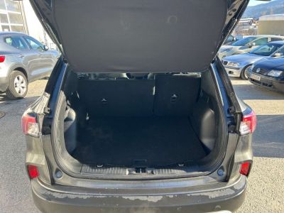 Ford Kuga Vorführwagen