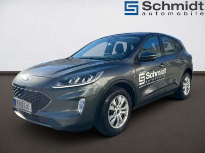 Ford Kuga Vorführwagen