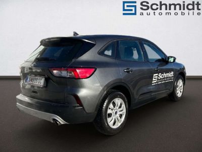 Ford Kuga Vorführwagen