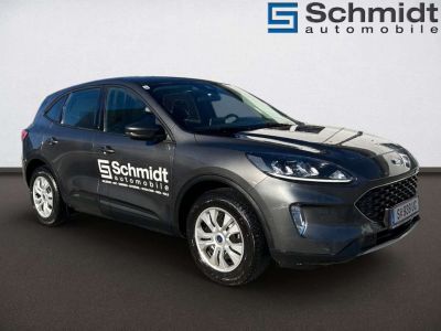 Ford Kuga Vorführwagen