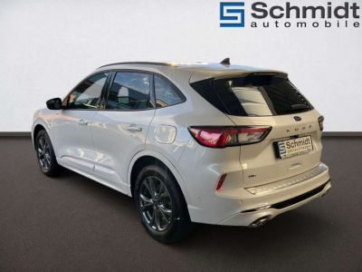 Ford Kuga Gebrauchtwagen