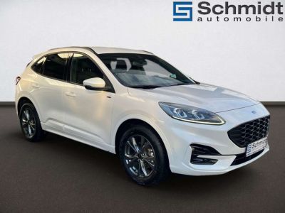 Ford Kuga Gebrauchtwagen