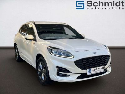 Ford Kuga Gebrauchtwagen
