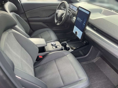 Ford Mustang Gebrauchtwagen