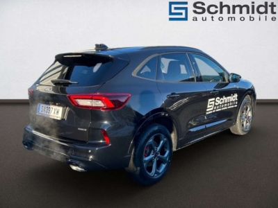 Ford Kuga Vorführwagen