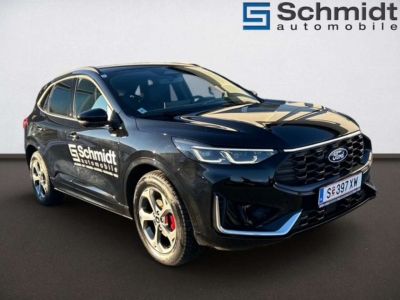 Ford Kuga Vorführwagen