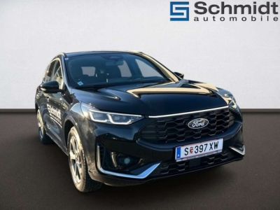 Ford Kuga Vorführwagen