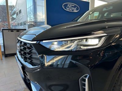 Ford Kuga Vorführwagen