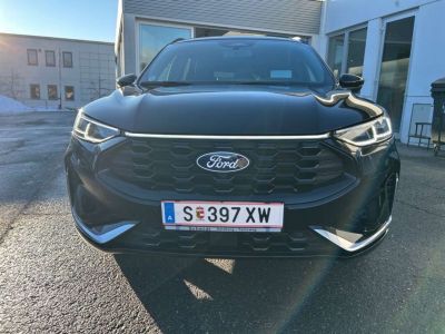 Ford Kuga Vorführwagen