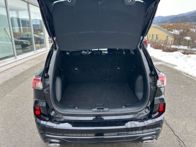 Ford Kuga Gebrauchtwagen Ford Kuga Gebrauchtwagen