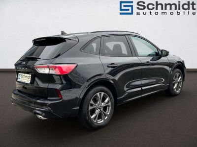 Ford Kuga Gebrauchtwagen Ford Kuga Gebrauchtwagen