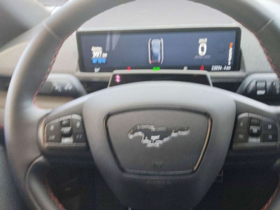 Ford Mustang Mach-E Gebrauchtwagen