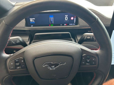 Ford Mustang Mach-E Gebrauchtwagen
