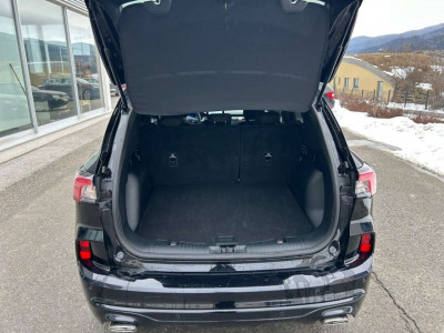 Ford Kuga Gebrauchtwagen Ford Kuga Gebrauchtwagen
