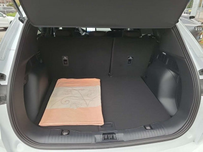 Ford Kuga Vorführwagen Ford Kuga Vorführwagen