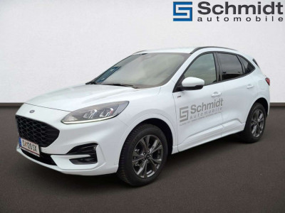 Ford Kuga Vorführwagen Ford Kuga Vorführwagen