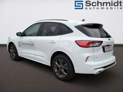 Ford Kuga Vorführwagen Ford Kuga Vorführwagen