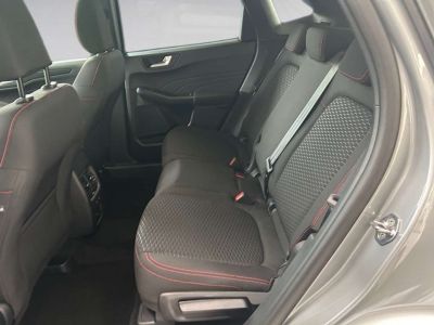 Ford Kuga Vorführwagen