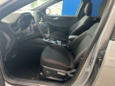 Ford Kuga Vorführwagen