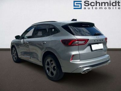 Ford Kuga Vorführwagen