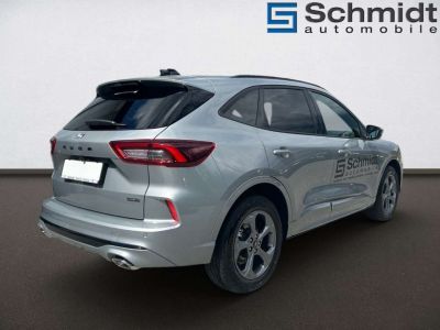 Ford Kuga Vorführwagen