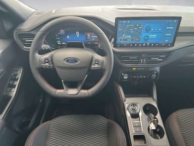 Ford Kuga Vorführwagen