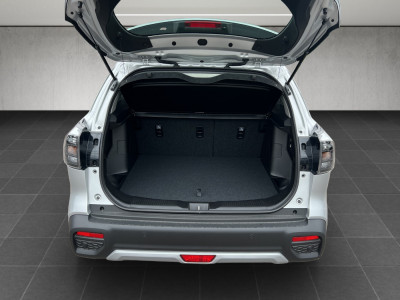 Suzuki S-Cross Gebrauchtwagen