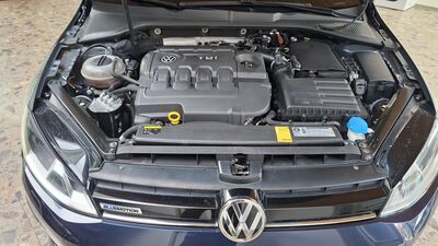 VW Golf Gebrauchtwagen VW Golf Gebrauchtwagen