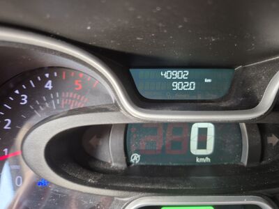 Renault Trafic Gebrauchtwagen
