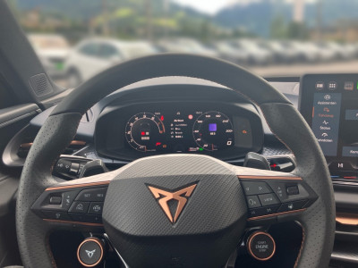 Cupra Terramar Gebrauchtwagen Cupra Terramar Gebrauchtwagen