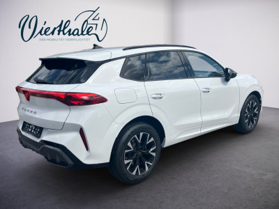 Cupra Terramar Gebrauchtwagen Cupra Terramar Gebrauchtwagen