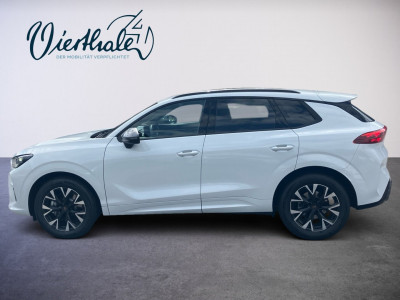 Cupra Terramar Gebrauchtwagen Cupra Terramar Gebrauchtwagen
