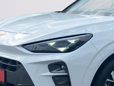 Cupra Terramar Gebrauchtwagen Cupra Terramar Gebrauchtwagen