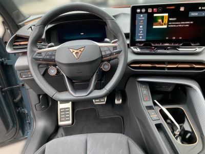 Cupra Terramar Gebrauchtwagen