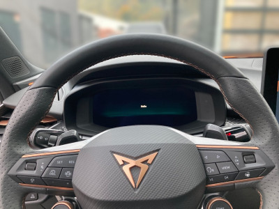 Cupra Terramar Gebrauchtwagen