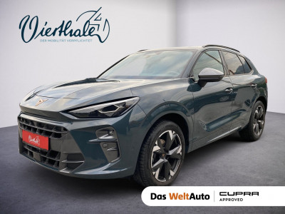 Cupra Terramar Gebrauchtwagen
