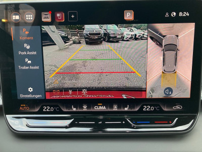 Cupra Terramar Gebrauchtwagen