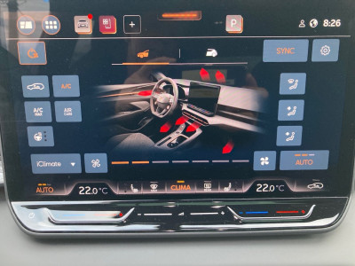 Cupra Terramar Gebrauchtwagen
