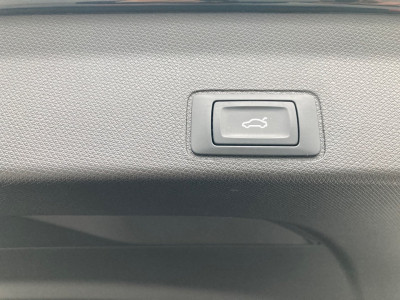 Cupra Terramar Gebrauchtwagen