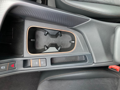 Cupra Terramar Gebrauchtwagen