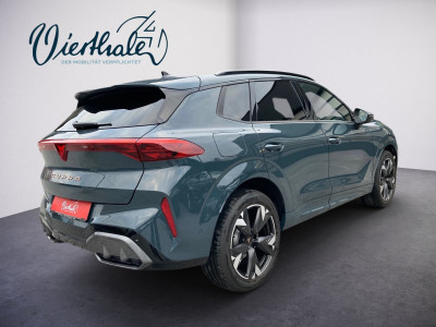 Cupra Terramar Gebrauchtwagen