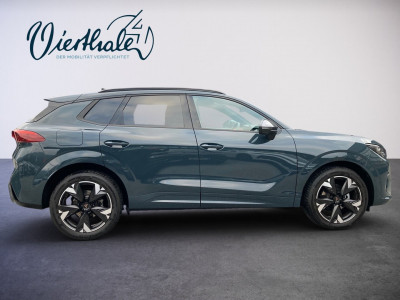 Cupra Terramar Gebrauchtwagen