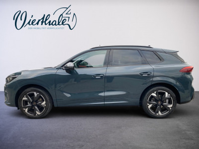 Cupra Terramar Gebrauchtwagen